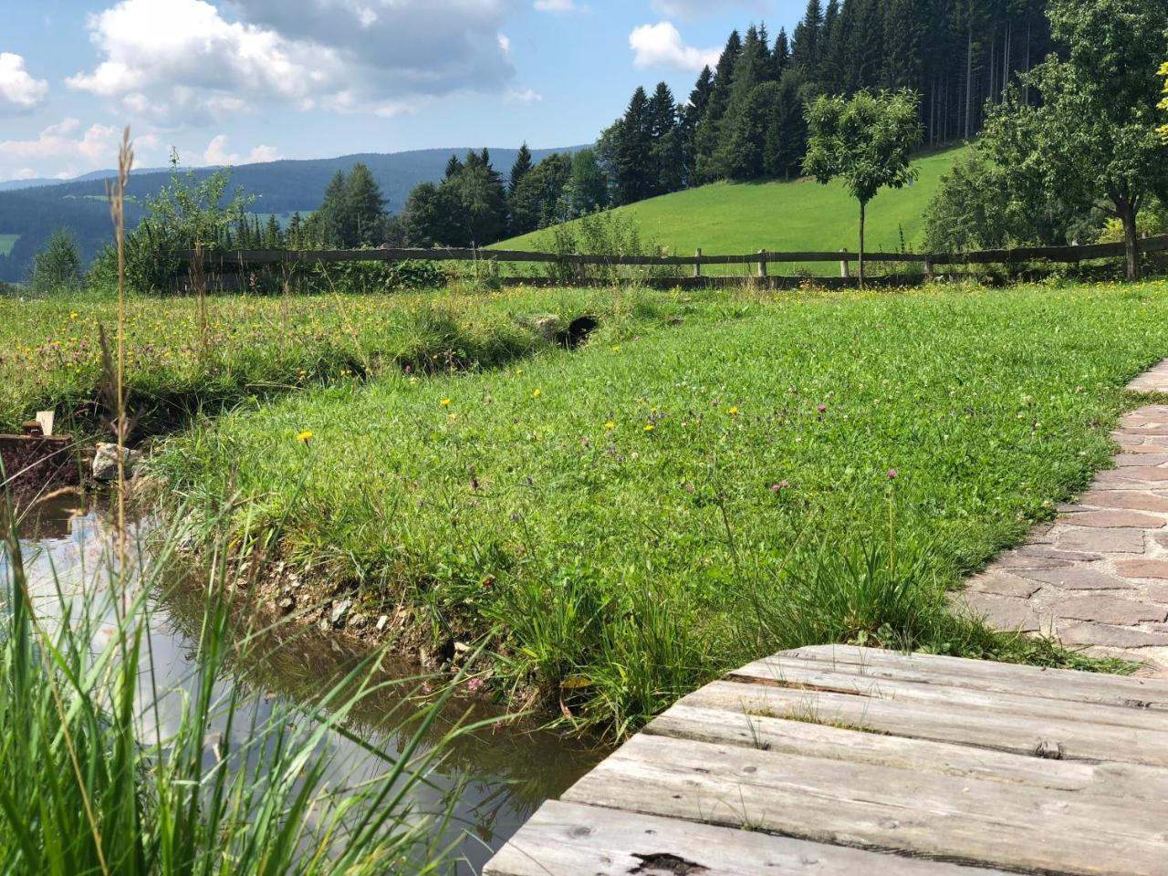 Waldheimathuette Villa Sankt Kathrein am Hauenstein ภายนอก รูปภาพ