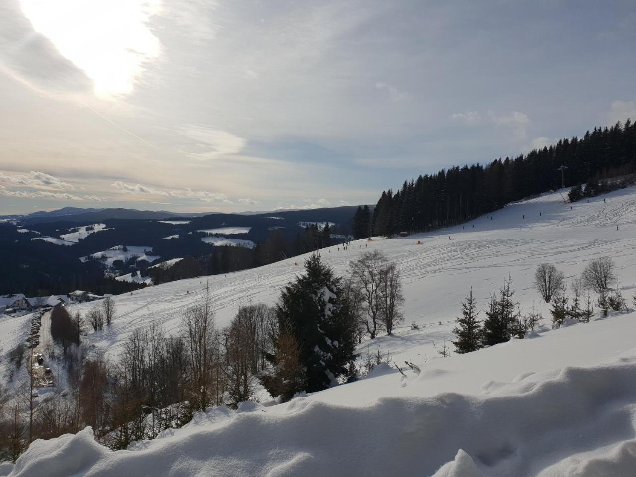 Waldheimathuette Villa Sankt Kathrein am Hauenstein ภายนอก รูปภาพ