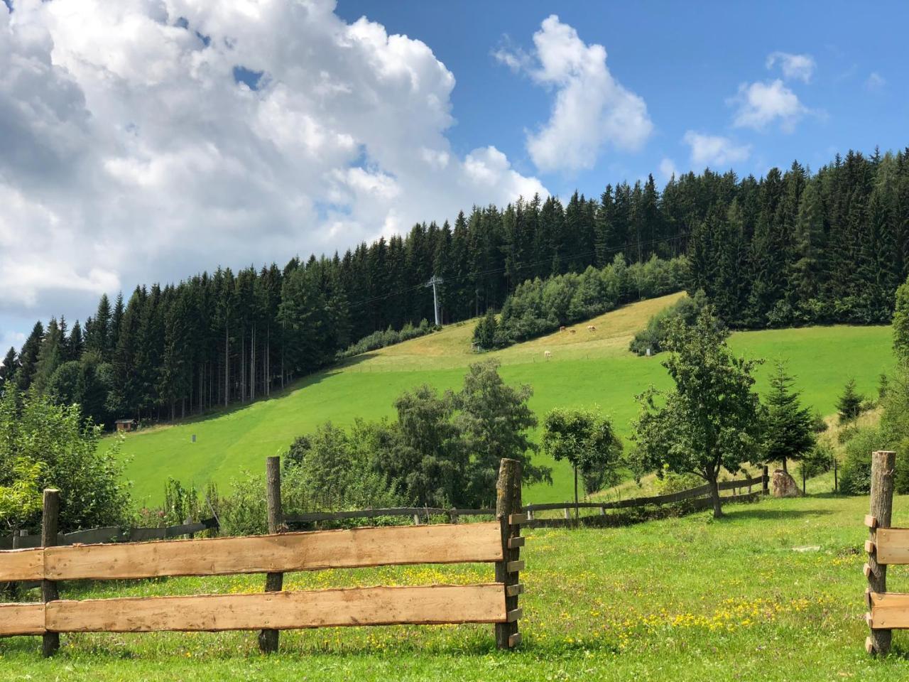 Waldheimathuette Villa Sankt Kathrein am Hauenstein ภายนอก รูปภาพ